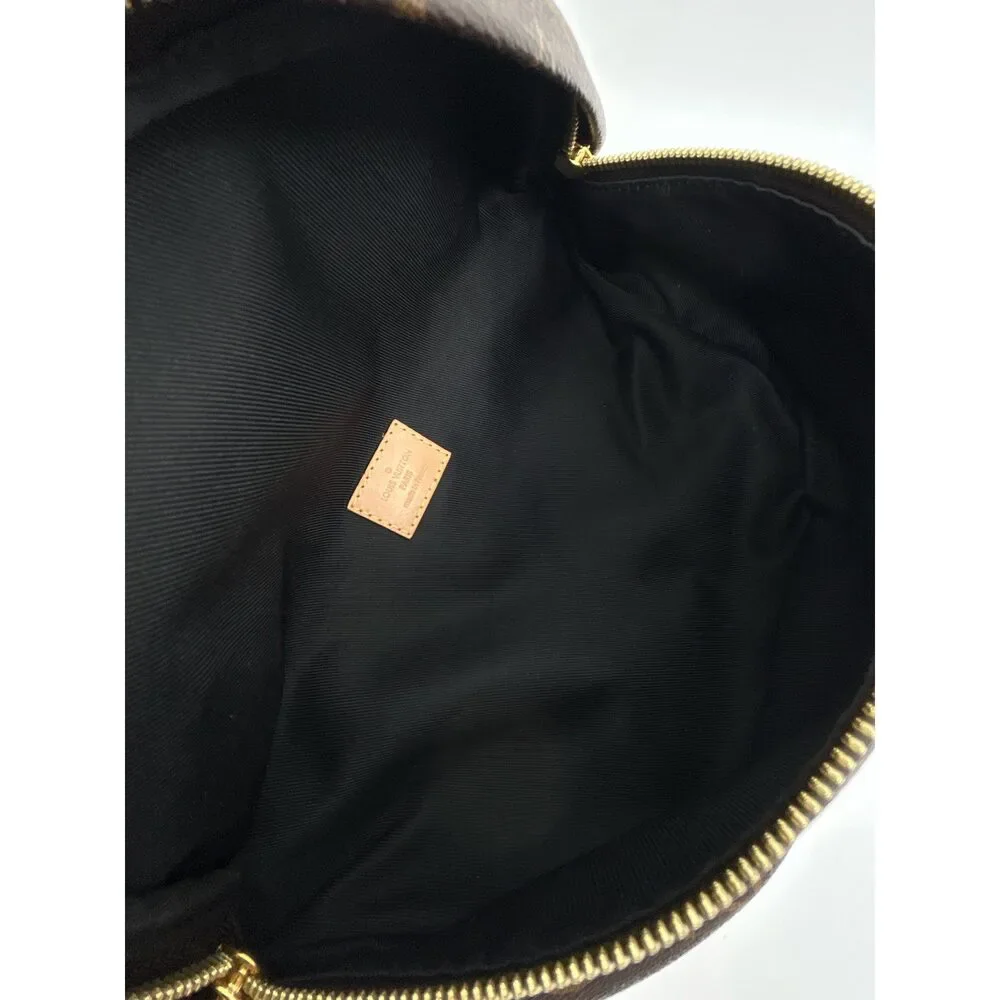 LOUIS VUITTON BROWN MONOGRAM Women Purse